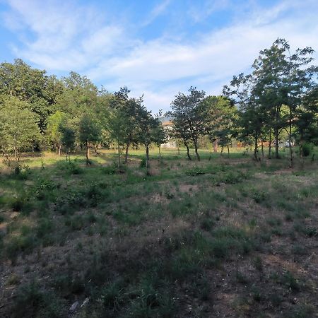 Montesquieu Location Saisonniere Curiste公寓 外观 照片