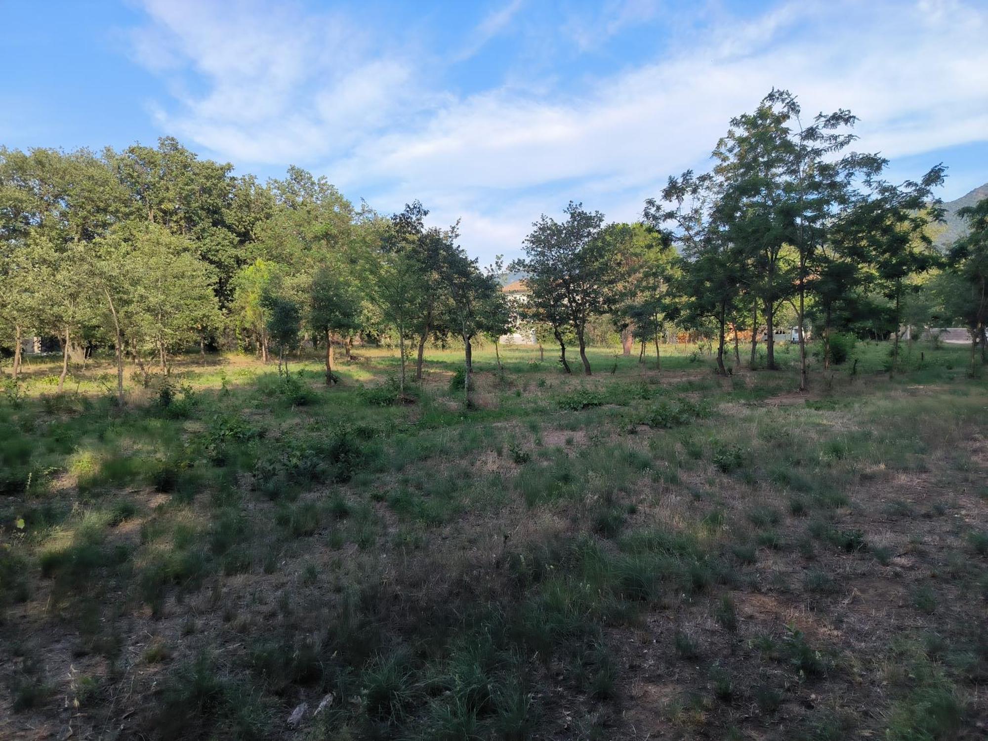 Montesquieu Location Saisonniere Curiste公寓 外观 照片