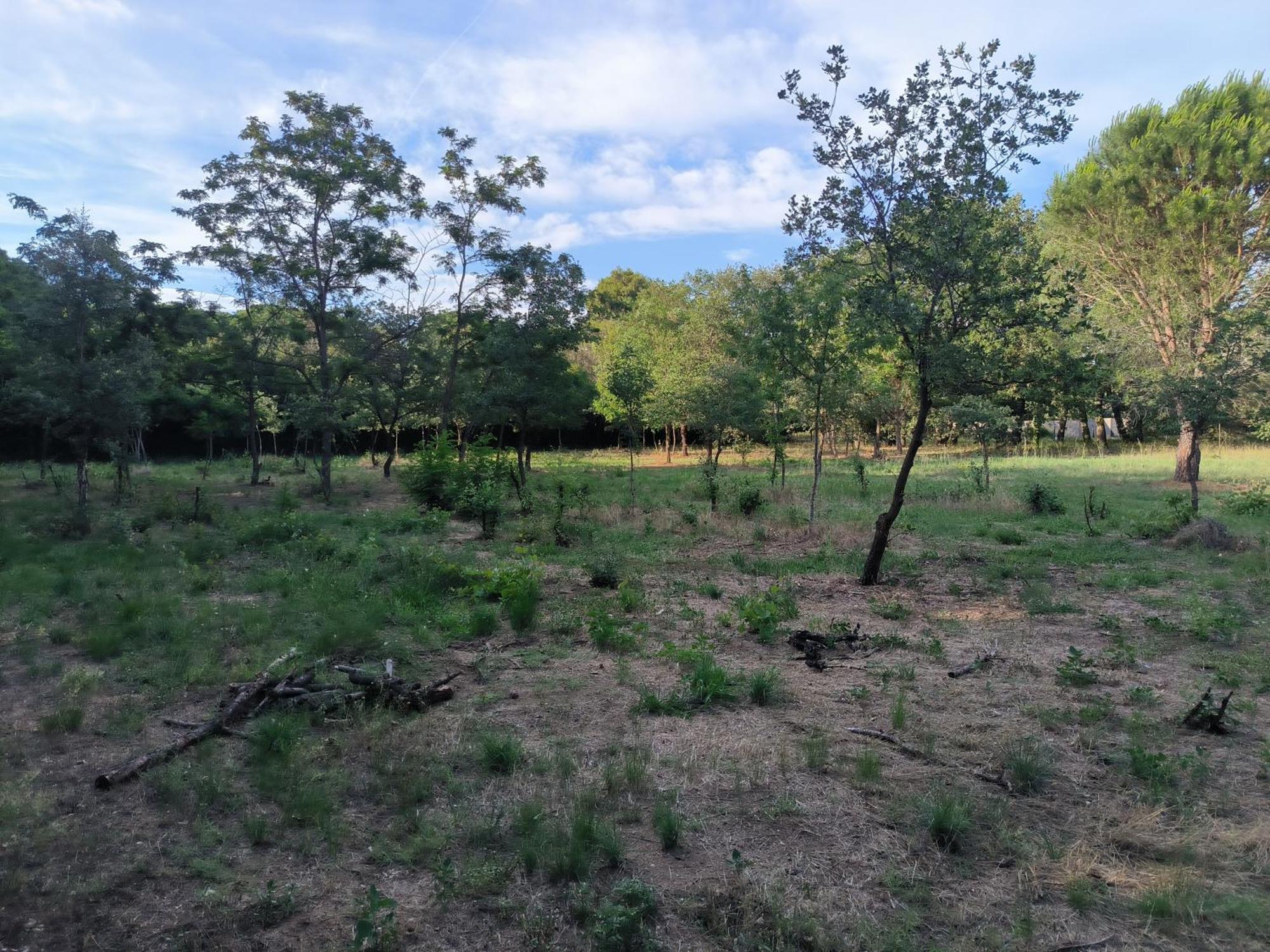 Montesquieu Location Saisonniere Curiste公寓 外观 照片